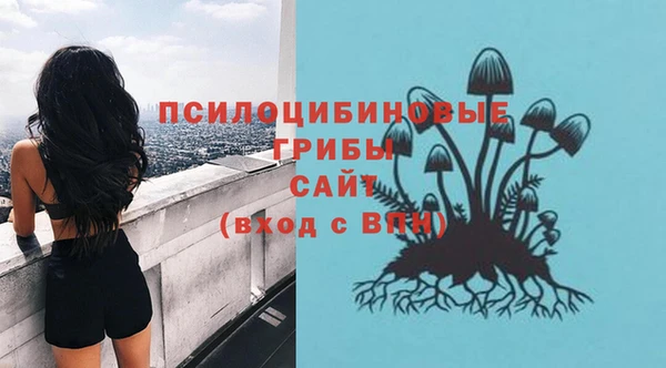 метамфетамин Верея