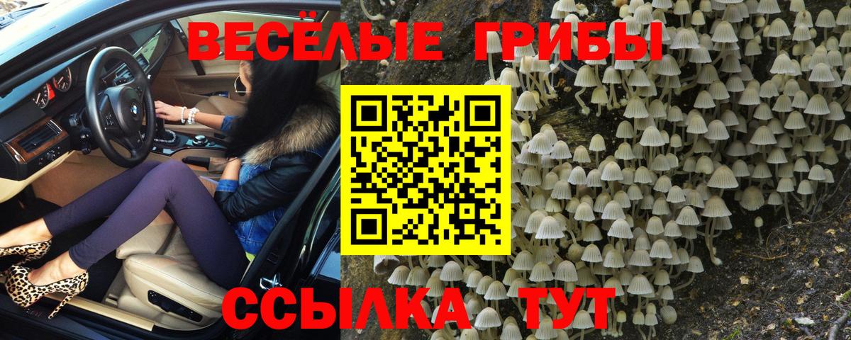 Псилоцибиновые грибы Cubensis  хочу   Назарово  Вход с VPN 